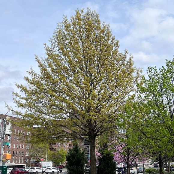 PLEASE, LIKE, FOLLOW & SHARE, SHARE, SHARE! THANK YOU!❤️❤️ - Picture 8 of 16